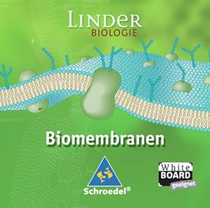 Bild des Verkufers fr LINDER Biologie SII: Biomembranen: Einzelplatzlizenz: Lernsoftware / Einzelplatzlizenz (LINDER Biologie SII: Lernsoftware) zum Verkauf von Studibuch