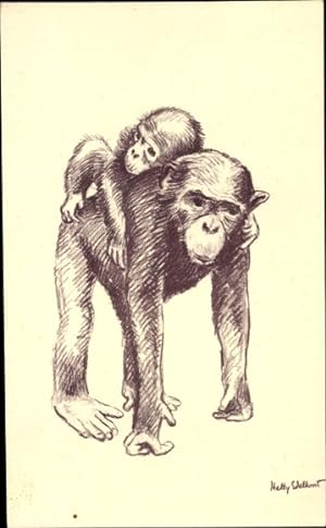 Künstler Ansichtskarte / Postkarte Edelkoort, H., Schimpansen, Affen, Jungtier