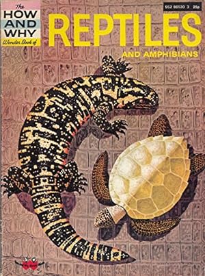 Bild des Verkufers fr Reptiles (How & Why S.) zum Verkauf von WeBuyBooks