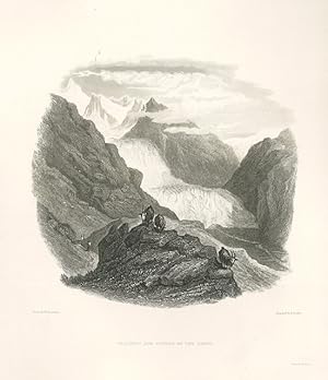 Bild des Verkufers fr Glaciers and source of the Rhone zum Verkauf von Sergio Trippini