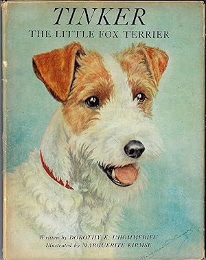 Tinker the Little Fox Terrier