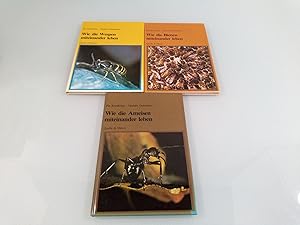 Konvolut 3 Bücher: Wie die Wespen miteinander leben; Wie die Bienen miteinander leben; Wie die Am...