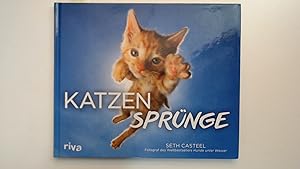 Seller image for Katzensprnge. for sale by Antiquariat Maiwald