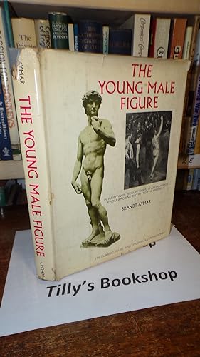 The Young Male Figure: In Paintings, Sculptures, And Drawings From Ancient Egypt To The Present