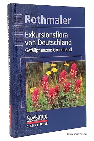 Seller image for Exkursionsflora von Deutschland, Band 2 : Gefpflanzen: Grundband for sale by exlibris24 Versandantiquariat