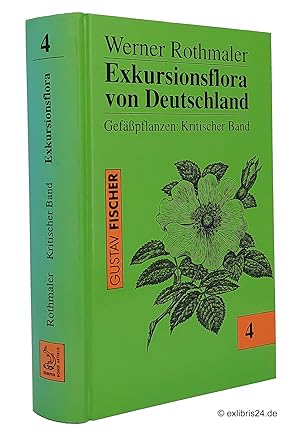 Image du vendeur pour Exkursionsflora von Deutschland, Band 4 : Gefpflanzen: Kritischer Band mis en vente par exlibris24 Versandantiquariat