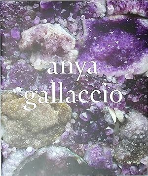 Imagen del vendedor de Anya Gallaccio a la venta por Barter Books Ltd