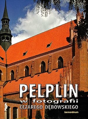 Seller image for Pelplin w fotografi Cezarego Debowskiego for sale by Paderbuch e.Kfm. Inh. Ralf R. Eichmann
