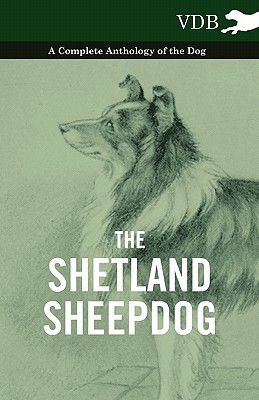 Seller image for The Shetland Sheepdog - A Complete Anthology of the Dog (Paperback or Softback) for sale by BargainBookStores