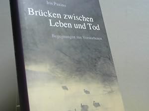 Brücken zwischen Leben und Tod : Begegnungen mit Verstorbenen.