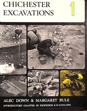 Seller image for Chichester Excavations: No. 1 for sale by M Godding Books Ltd