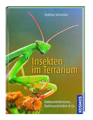 Bild des Verkufers fr Kosmos: Insekten im Terrarium Gottesanbeterinnen, Stabheuschrecken & Co. zum Verkauf von Antiquariat Mander Quell