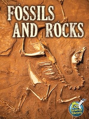 Bild des Verkufers fr Fossils and Rocks zum Verkauf von GreatBookPrices