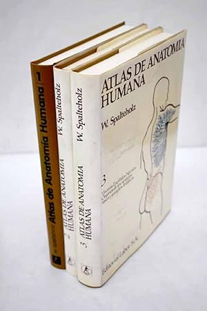 Imagen del vendedor de Atlas de anatoma humana a la venta por Alcan Libros