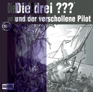 Bild des Verkufers fr Die drei ??? 163 .und der verschollene Pilot (Fragezeichen) zum Verkauf von moluna