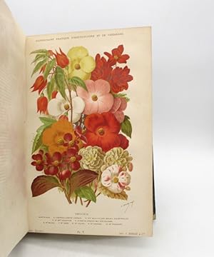 Image du vendeur pour Dictionnaire pratique d'horticulture et de jardinage mis en vente par L'Ancienne Librairie