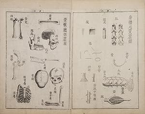 JÅ«tei kaitai shinsho éè è§£é«"æ°æ [Revised Edition of a New Book of Anatomy]