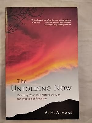 The Unfolding Now: Realizing Your True Nature through the Practice of Presence.