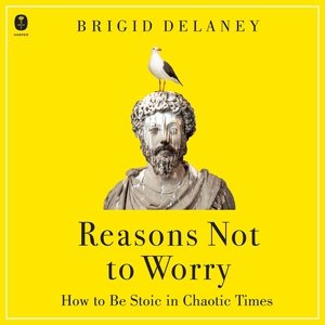 Seller image for Reasons Not to Worry : How to Be Stoic in Chaotic Times for sale by GreatBookPrices