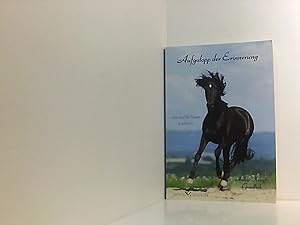 Seller image for Aufgalopp der Erinnerung: Sina und ihr Traum in schwarz [Sina und ihr Traum in schwarz] for sale by Book Broker