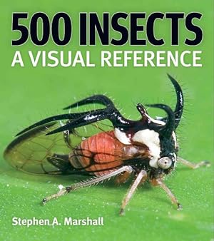 Seller image for 500 Insects : A Visual Reference for sale by GreatBookPrices