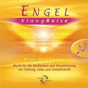 Bild des Verkufers fr Engel erleben. Audio CD zum Verkauf von moluna