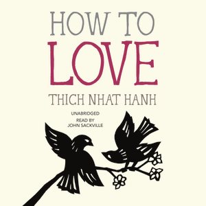 Imagen del vendedor de How to Love a la venta por GreatBookPrices