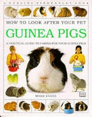Seller image for How To Look After Your Pet: Guinea Pigs for sale by WeBuyBooks