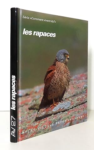 Image du vendeur pour Les rapaces. Faucons, buse variable, pervier d'Europe et autres rapaces diurnes. mis en vente par La Bergerie