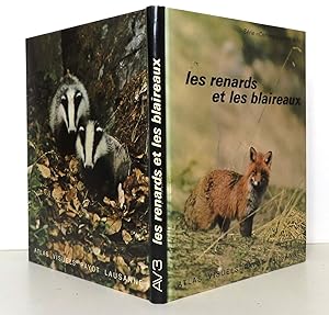 Les renards et les blaireaux.