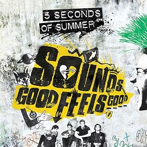 Bild des Verkufers fr Sounds Good Feels Good zum Verkauf von moluna