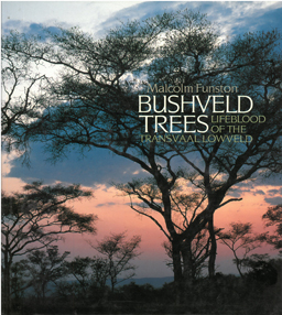 Bushveld Trees.