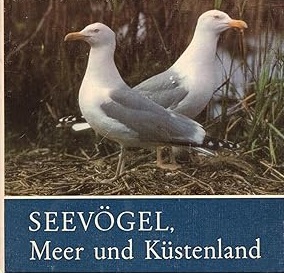 Seller image for Seevgel, Meer und Kstenland. Fr junge Natur- und Tierfreunde for sale by Versandantiquariat Bolz