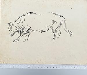 Bull. 2 original pencil drawings, back to back.