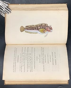 Seller image for The Natural History of BRTISH FISHES including Scientific and General Descriptions of the Most Interesting Species. [with] Accurately Finished COLOURED PLATES Taken Entirely from Original Drawings, Purposely Made from the Specimens in a Recent State, and for the Mist Part While Living. Vol. IV (tantum). for sale by Libreria Le Colonne