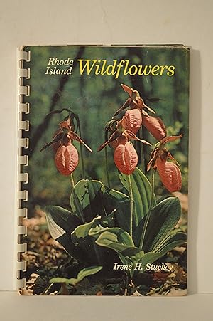 Rhode Island Wildflowers