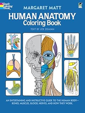 Bild des Verkufers fr Human Anatomy Colouring Book zum Verkauf von WeBuyBooks