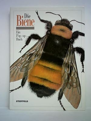 Bild des Verkufers fr Die Biene. Ein Pop-up-Buch zum Verkauf von Celler Versandantiquariat