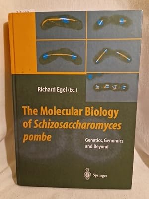 Bild des Verkufers fr The Molecular Biology of Schizosaccharomyces pombe: Genetics, Genomics and Beyond. zum Verkauf von Versandantiquariat Waffel-Schrder
