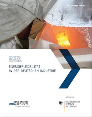 Seller image for Energieflexibilitt in der deutschen Industrie.: Ergebnisse aus dem Kopernikus-Projekt - Synchronisierte und energieadaptive Produktionstechnik zur . fluktuierende Energieversorgung (SynErgie). for sale by Studibuch