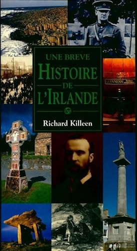 Image du vendeur pour Une br?ve histoire de l'Irlande - Richard Killeen mis en vente par Book Hmisphres