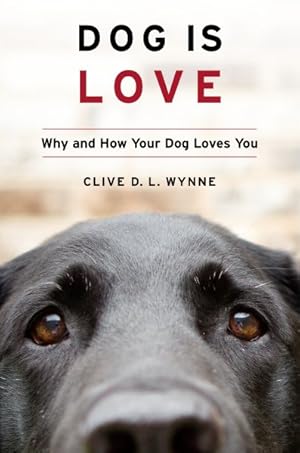 Seller image for Dog Is Love : Why and How Your Dog Loves You for sale by GreatBookPrices