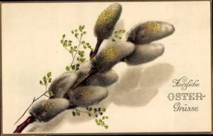 Ansichtskarte / Postkarte Glückwunsch Ostern, Weidenkätzchen
