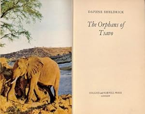 Immagine del venditore per Orphans of Tsavo venduto da WeBuyBooks 2