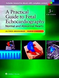 Image du vendeur pour A Practical Guide to Fetal Echocardiography mis en vente par Collectors' Bookstore
