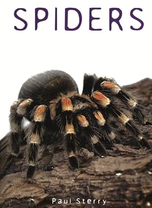 Image du vendeur pour Spiders mis en vente par GreatBookPrices