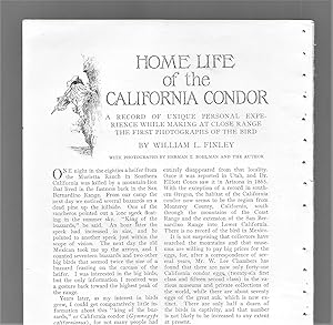 Seller image for Home Life Of The California Condor for sale by Legacy Books II