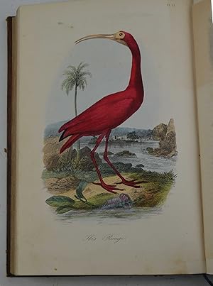 Histoire naturelle des oiseaux&