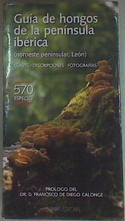Imagen del vendedor de Gua de hongos de la pennsula ibrica Noroeste peninsular-Len. 570 Especies a la venta por Almacen de los Libros Olvidados
