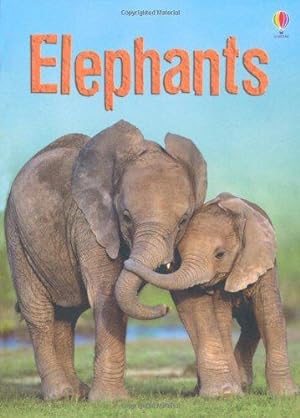 Bild des Verkufers fr Elephants (Beginners) zum Verkauf von WeBuyBooks 2
